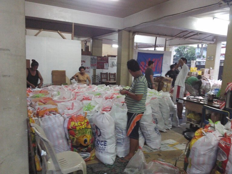 Progressive groups hold National Relief Caravan for Samar and Leyte