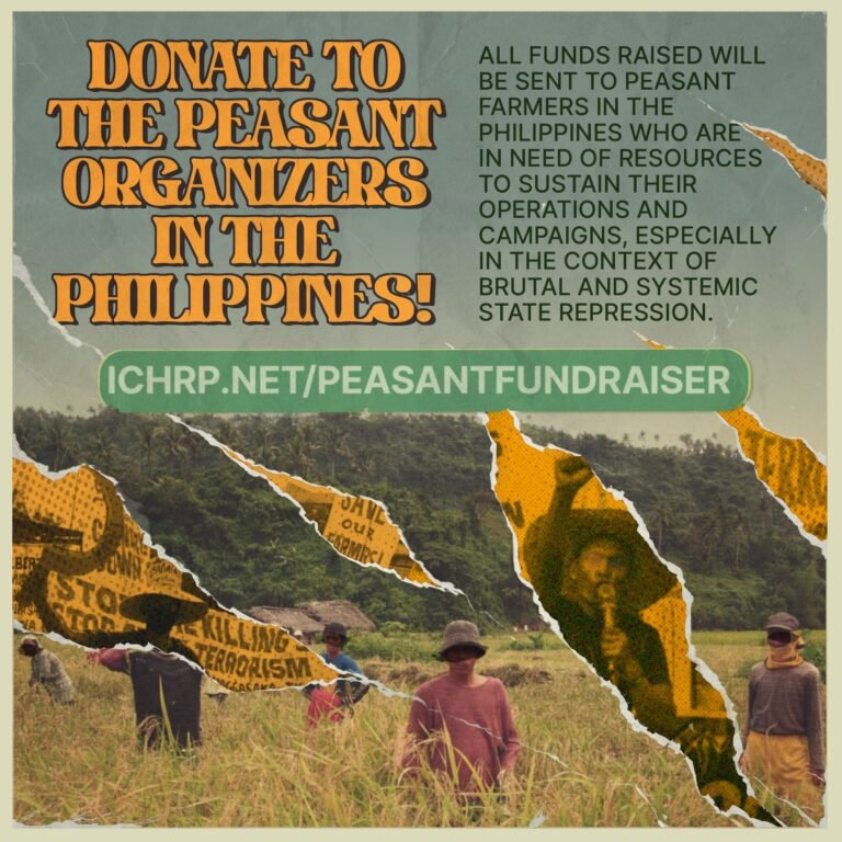 Donate to peasant organizers in the Philippines!