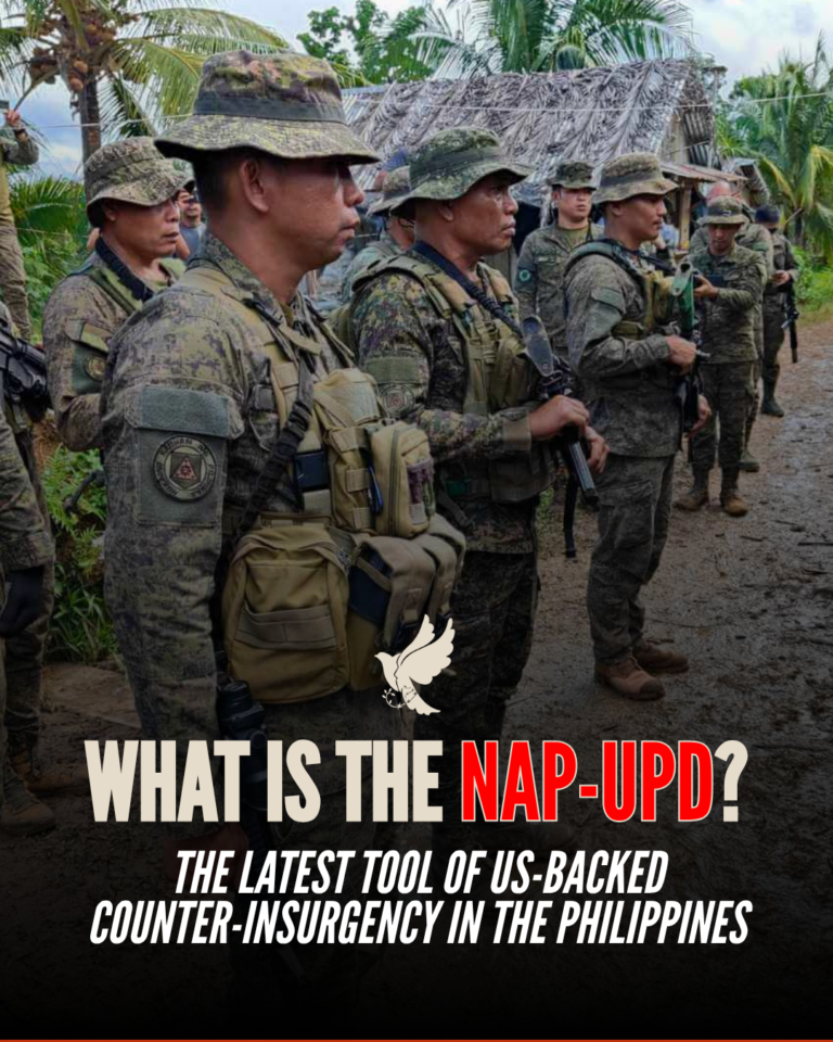 What is the NAP-UPD?