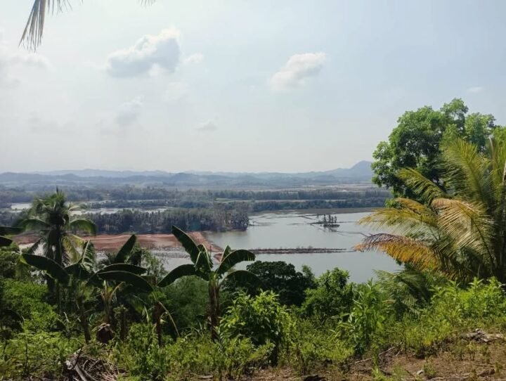 A photo from a hill overlooking flooded cultivation fields for crops. Immediately below the hill are vibrant green tropical trees native to Negros.