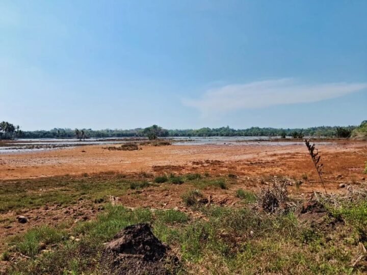 A photo of a field in Toboso on Negros Island.